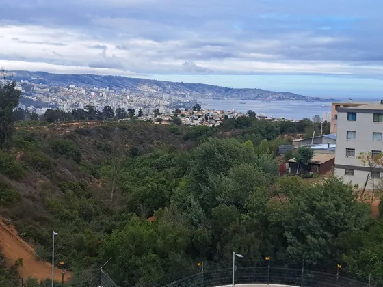 Se Arrienda Departamento 1d1b Estac /asoleado Viña Del Mar