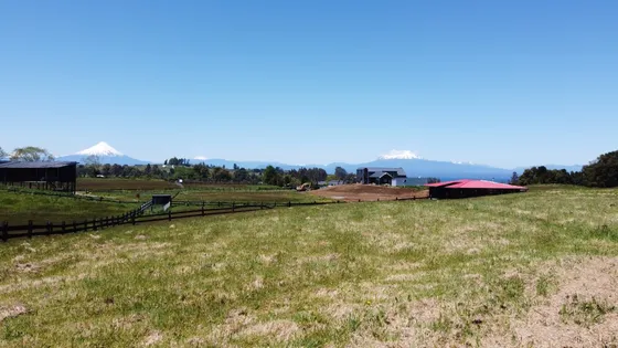 Se Vende Parcela En Llanquihue