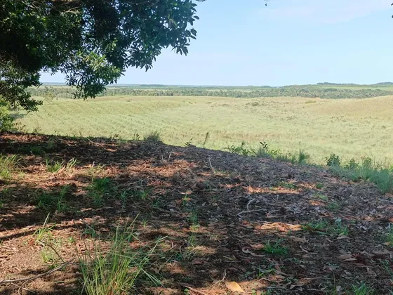 Venta De Finca Productiva