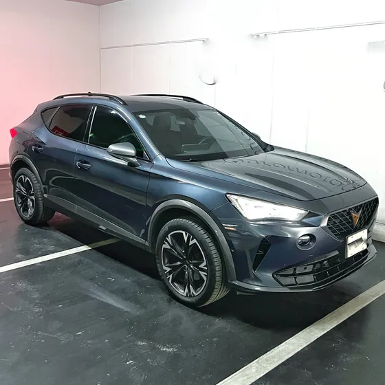 Cupra Formentor 2.0 190hp 2wd Dsg7
