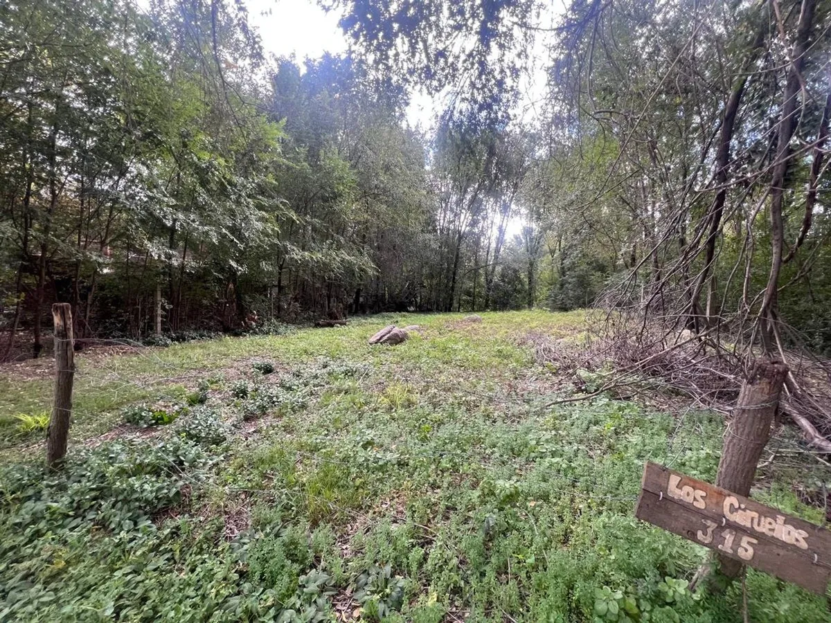 Land for Sale in Villa King, Potrero de los Funes
