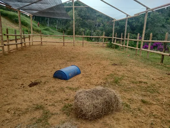 Venta De Lote En Guarne El Romeral 