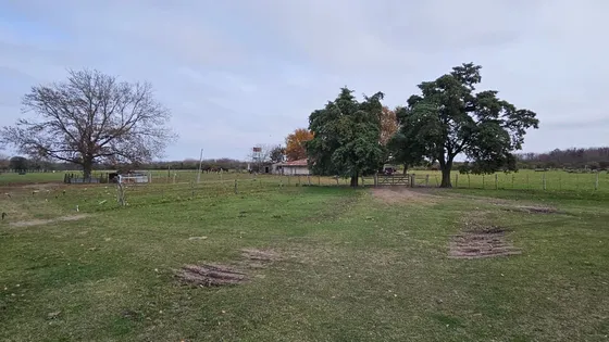 Campo En Venta Gdor. Mansilla, Provincia De Entre Ríos