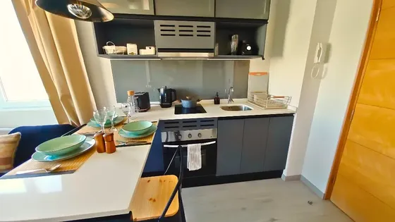 Arriendo Depto 1 Dorm 1 Baño Totalmente Amoblado