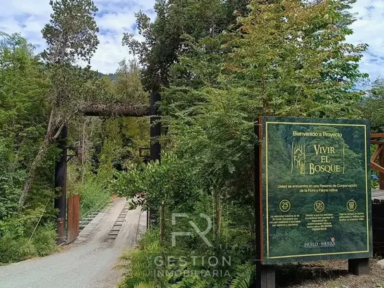Exclusiva Parcela Plana En Bosque De Renovales - Huilo Huilo
