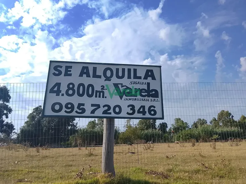 Alquiler Terreno Interbalnearia De 4800 M2 · Foto 1
