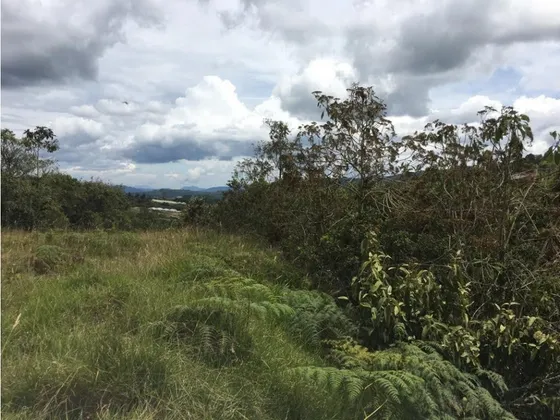 Lote / Terreno En Venta En Envigado, Pantanillo, Antioquia, Colombia.