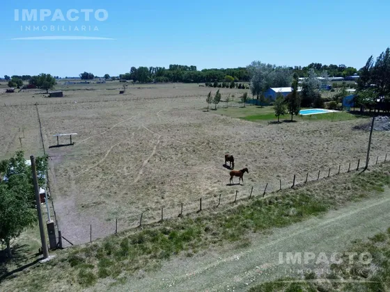 Terreno En Venta - Uribelarrea, Cañuelas