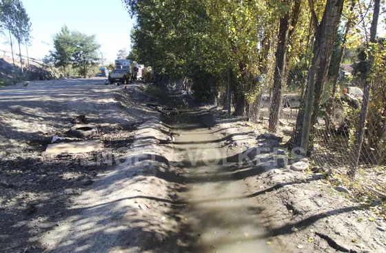 Terreno En Olivar