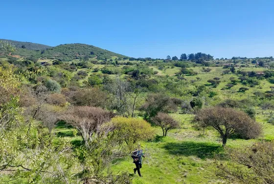 Parcela En Venta En Sector Valle Alegre Quintero