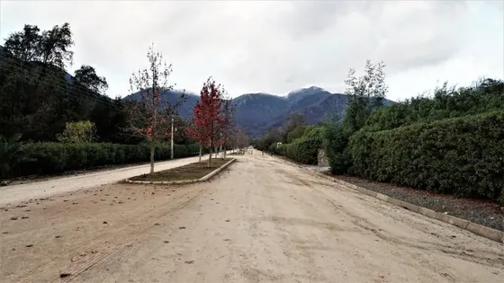 Venta Muy Buen Terreno, Oportunidad Inversión En Olmue