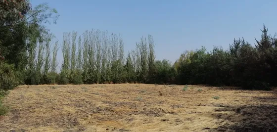 Se Vende Parcela 5000m2, Cond. Sta. Teresita Lisieux Batuco