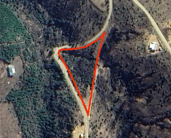 Parcela 0,5ha Lomas De Hualañé - Maule (rol Propio)