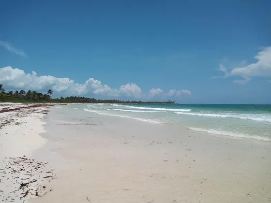 Venta De Terrenos En Boca Paila, Tulum,q.roo