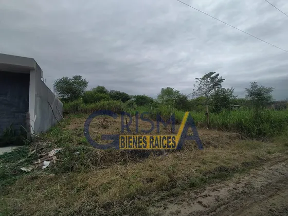 Terreno En Venta En Colonia Pisaflores Alto Lucero