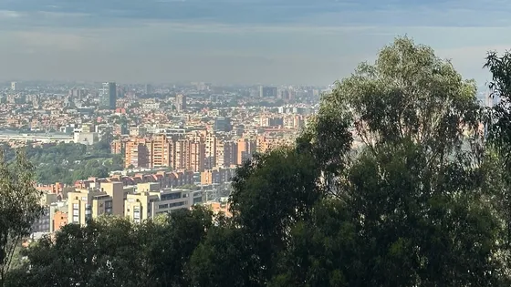¡vive La Exclusividad Y La Serenidad Que Solo Bosque Medina Puede Ofrecerte! 