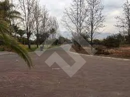 Sitio En Venta En Chicureo Oriente 