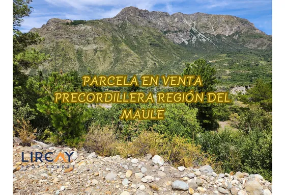 Parcela En Venta Sector Armerillo Comuna San Clemente. 