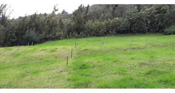 Venta Finca En Simijaca Cundinamarca