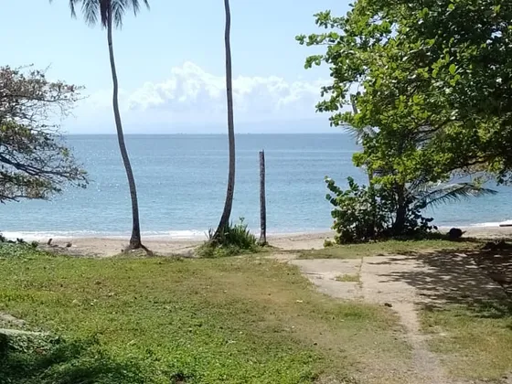 #enventa:terreno De Oportunidad !la Galera De Samaná. 377 M