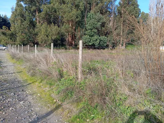 Terreno De 5.000 M2