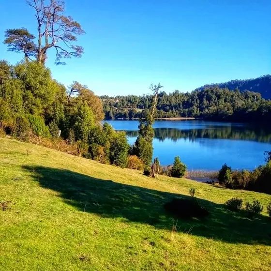 Parcela En Venta En Puyehue