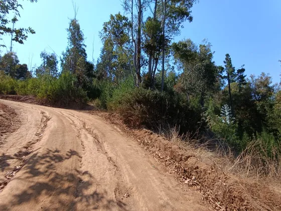 Terreno 5.000 M2 Pichilemu