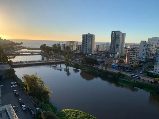Lindo Departamento Vista Estero Y Mar