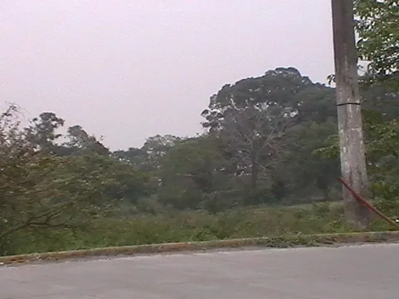Venta De Lotes Tuxpan Veracruz, 15387 M² En Av. Américas
