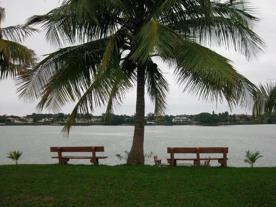 Venta Terreno 1150 M² Frente Al Rio Stgo. De Peña Tuxpan Ver
