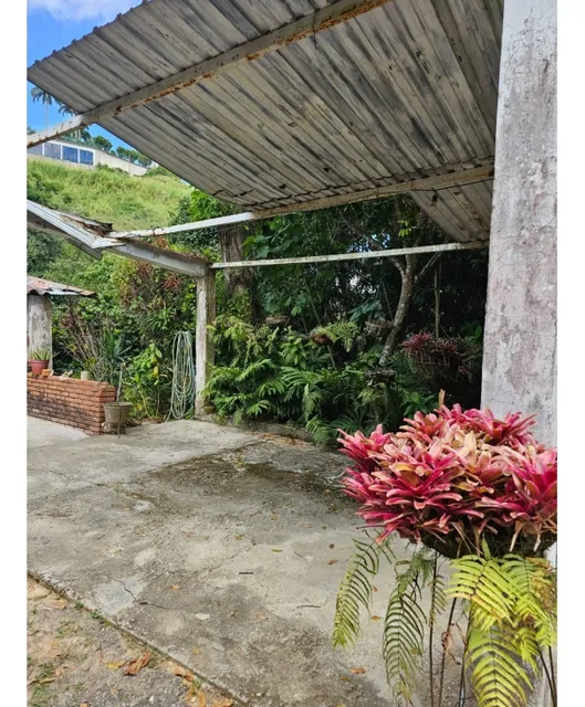 Terreno Parcela Con Casa En San Antonio,potrerito 3.943,62 M2 25-42