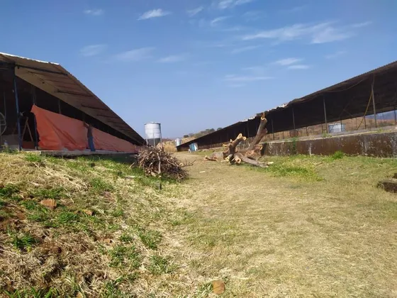 Ofrezco En Venta Granja Integral Avicola Ganadera Y Minera. Mr.