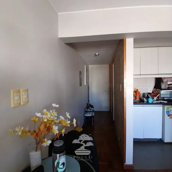 Alquiler Apartamento Monoambiente Punta Carretas Montevideo S