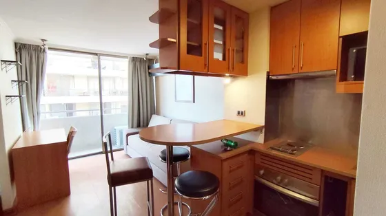 Arriendo Estupendo Dpto 1d1b Providencia (100907)