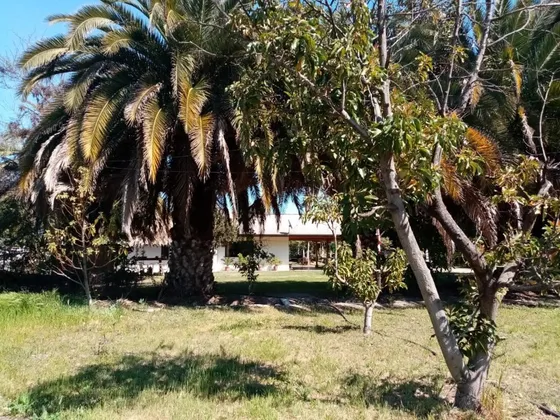 Parcela En Venta En Rengo