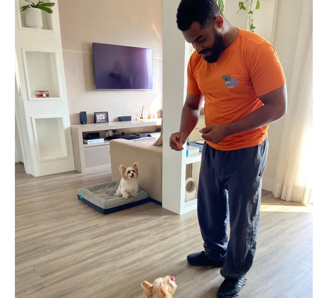 Adestrador De Cães Especializado Em Psicologia Canina