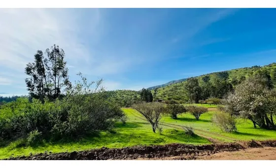 Vende Parcelas De 5.000 Mt2, Con Rol Propio, En Melipilla, P