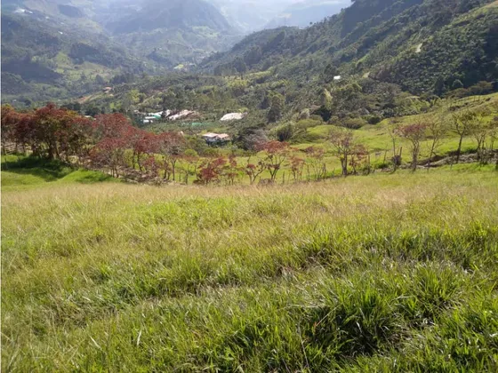 Se Vende Finca Productora En Jardín Antioquia 