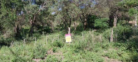 Venta De Terreno / Lote De 994m2 Ubicado En Mina Clavero - T141mc Venta De Terreno / Lote De 994m2 Ubicado En Mina Clavero - T141mc