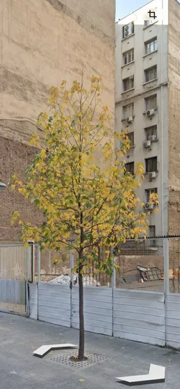 Terreno Comercial/ Residencial