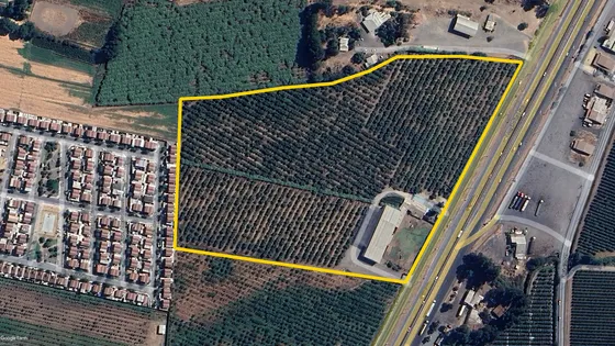 Venta De Terreno En Curicó Id 85.309-lin