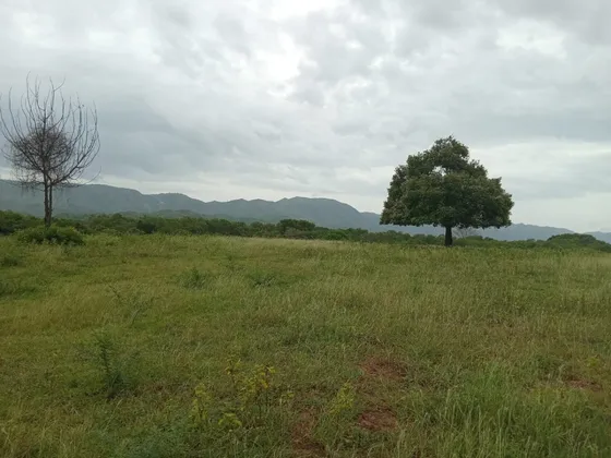 Lote En Girardot Proyecto Estrato 5