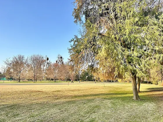 Sitio Norte Para 5 Casas, Colindante Country Club