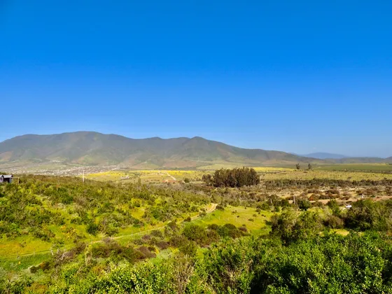 Hermoso Campo De 20 Has. En Huaquén