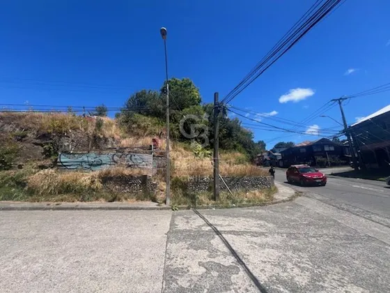 Venta De Sitio Comercial/ Trigal Con Crucero/puerto Montt