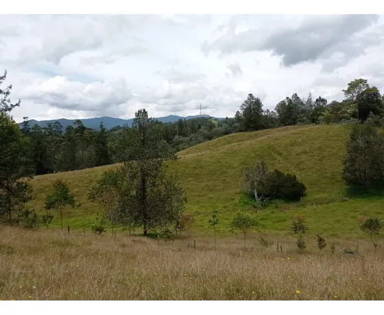 Venta De Lote Sector Pantanillo Via La Ceja