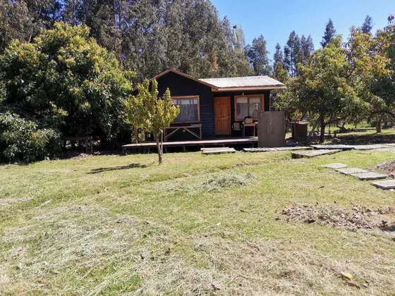 Terreno De 8 Hectáreas Ubicado En  Naltagua