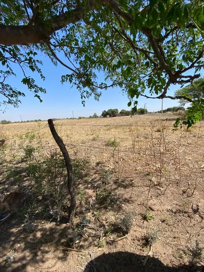 Casa   Hectareas   Galpón En Venta