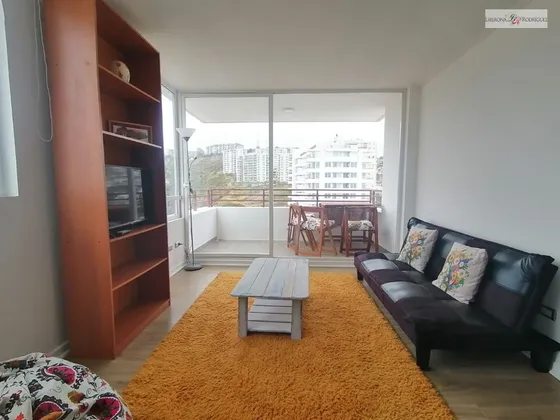 Departamento En Arriendo En Viña Del Mar