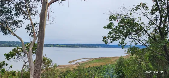 Hermoso Campo A Metros De La Playa  (72113)